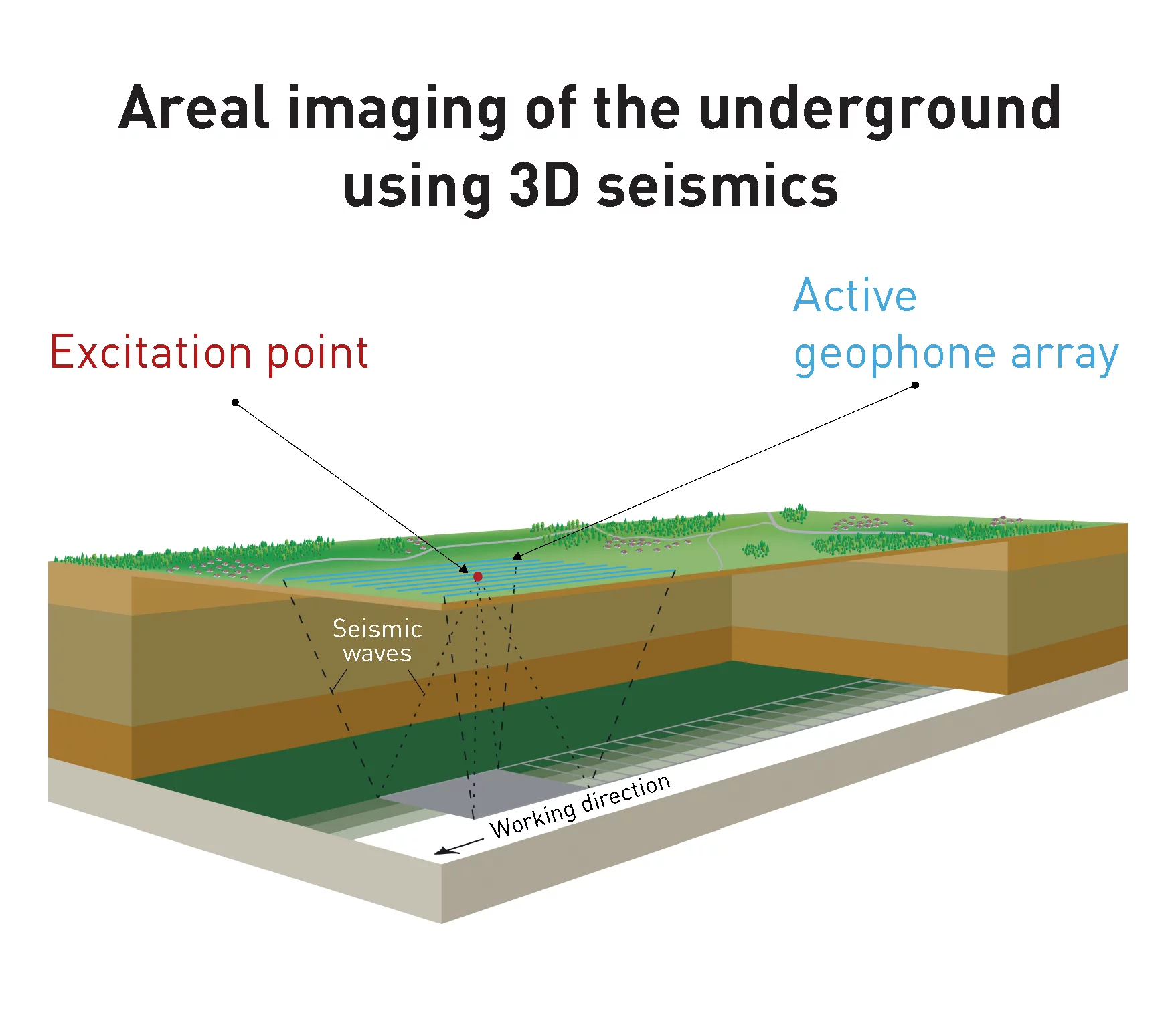 How does 3D seismic surveying work? The underground of a certain area is analysed on the basis of a net of partly overlapping segments. These segments are schematically shown at the interface of a rock layer. The waves that are simultaneously reflected from the interfaces of each over- and underlying rock layer over a depth of several hundreds of metres deliver a three-dimensional image of the underground. Illustration: Nagra