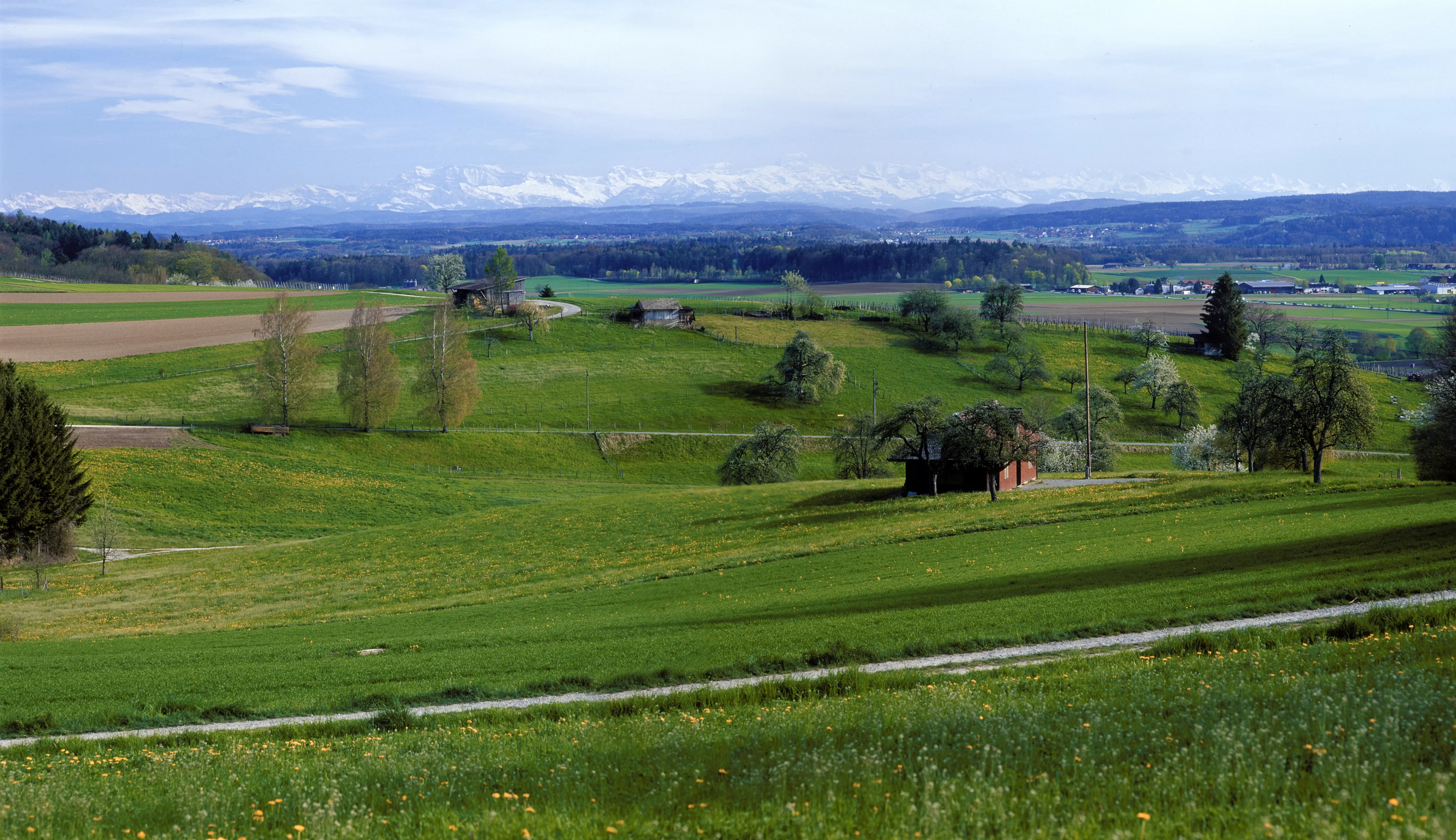 Paysage du Weinland zurichois avec vue sur le bassin molassique et au loin les Alpes. Photo : Nagra