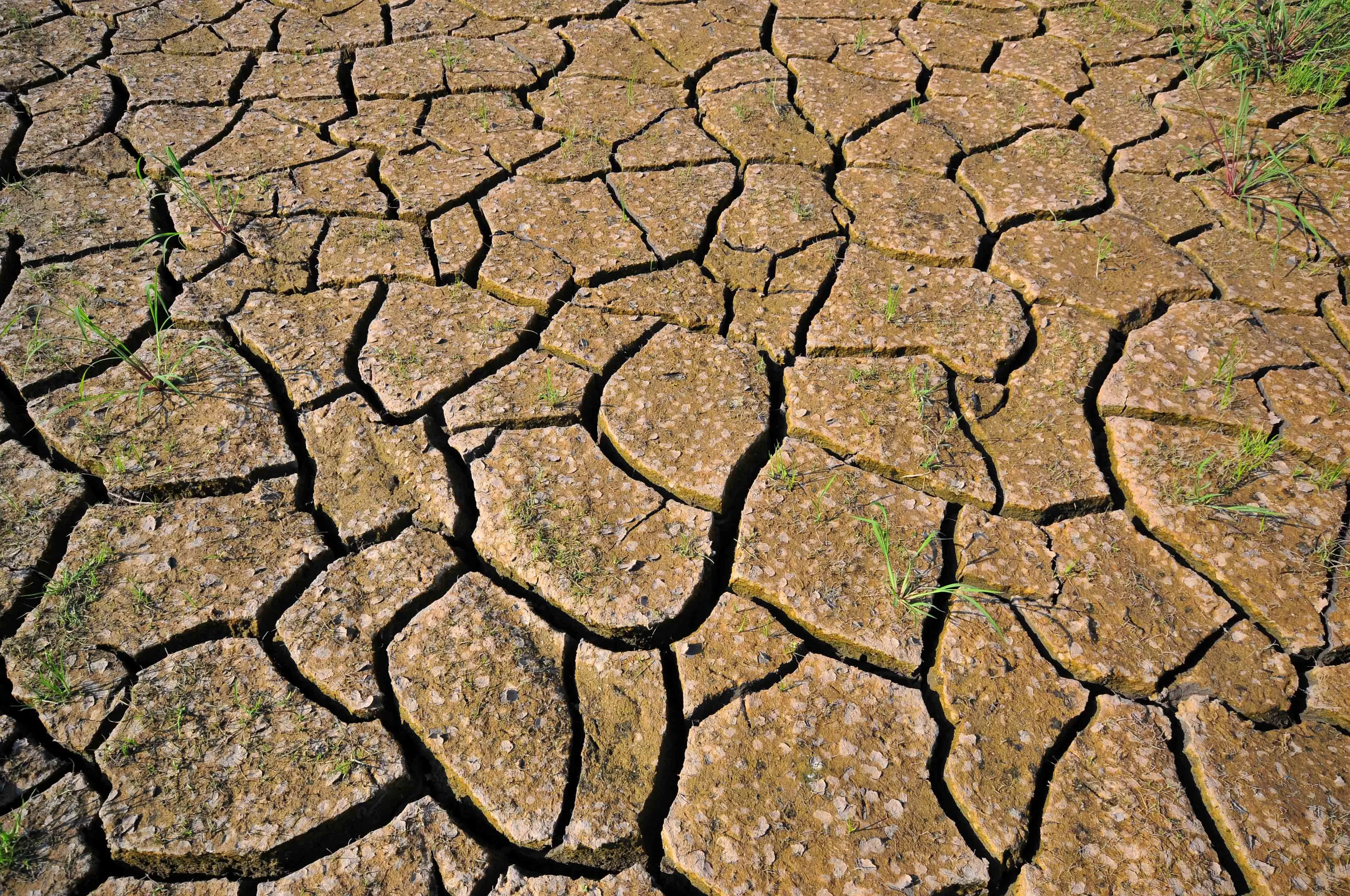 Cracks in clay ground. When clay dries, it contracts, generating cracks. When it rains, the water is reincorporated, the clay swells again and the cracks seal. Photo: © <a rel="noreferrer noopener" href="https://www.flickr.com/photos/38476503@N08/4459581071" data-type="URL" data-id="https://www.flickr.com/photos/38476503@N08/4459581071" target="_blank">2010CIAT / NeilPalmer</a> <a rel="noreferrer noopener" href="https://creativecommons.org/licenses/by-sa/2.0/?ref=ccsearch&atype=rich" target="_blank">CC BY-SA 2.0</a>