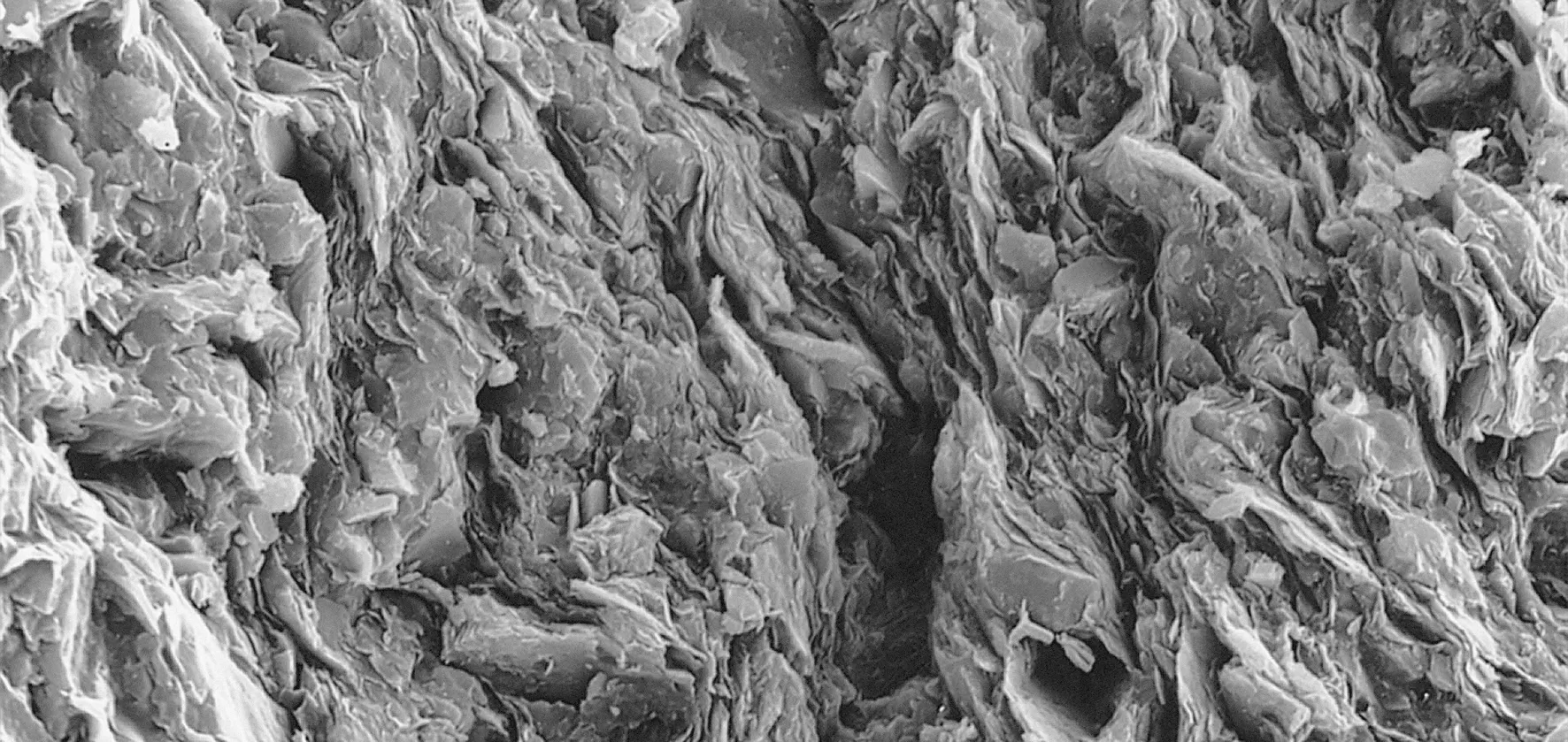 Opalinus Clay under the scanning electron microscope: one gram of Opalinus Clay has a surface area of approximately 100 square metres. This is roughly equivalent to the size of a badminton court (photo width around 0.05 mm).