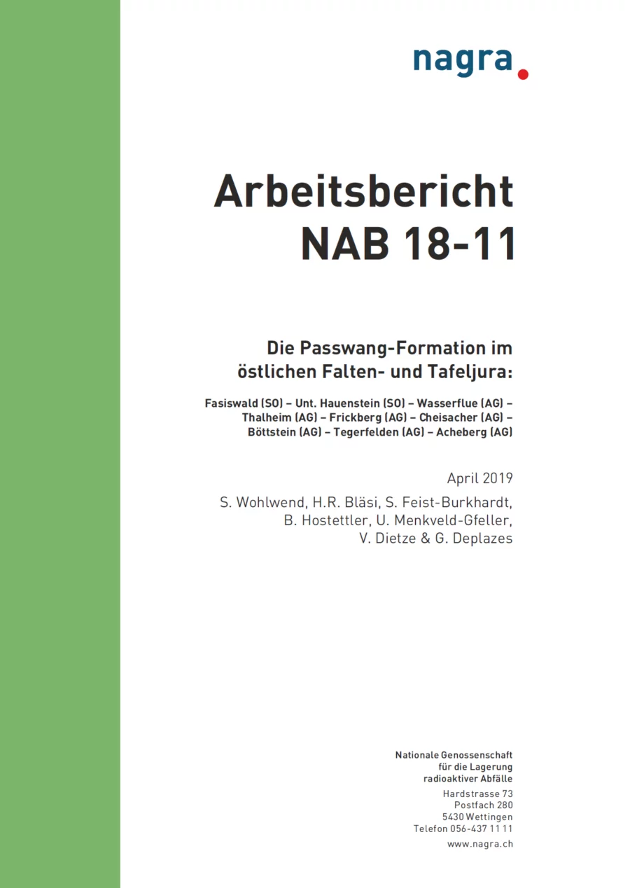 Arbeitsbericht NAB 18-11